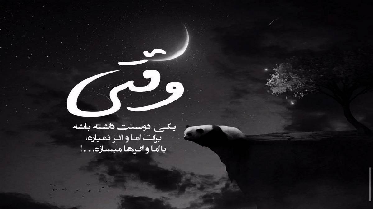  کاش کبوتر میبودم پا به پات پر میزدم